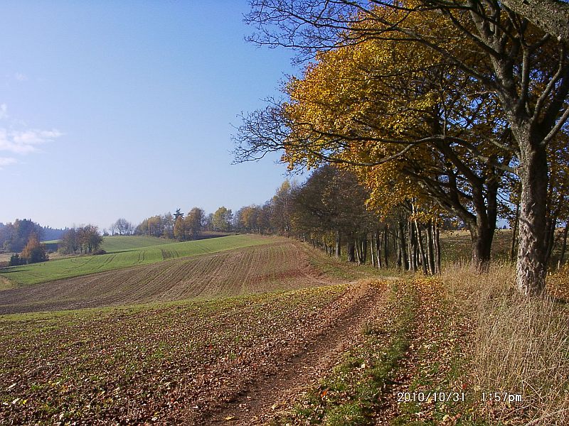 Wunsiedel Markus-Zahn-Allee