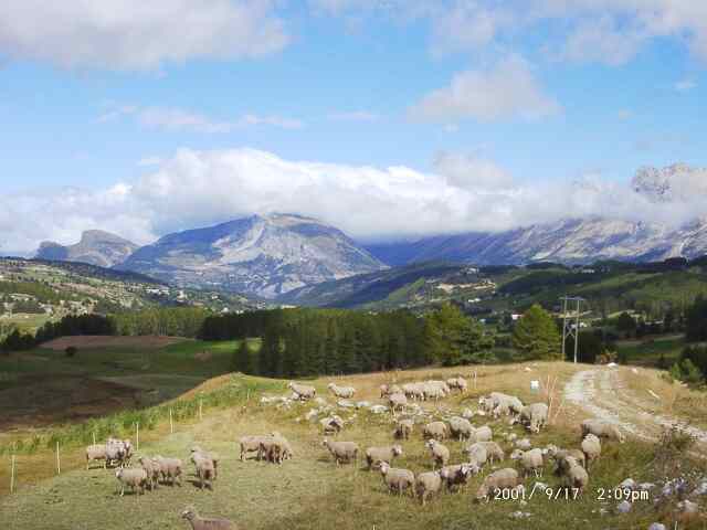 Alpes : Dauphiné