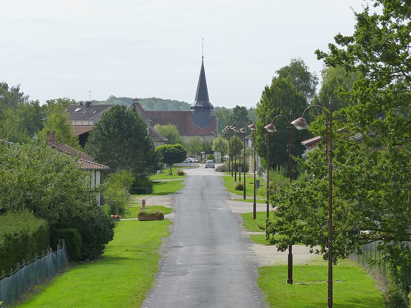 Champagne : Lac du Der