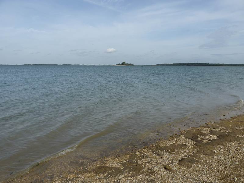 Champagne : Lac du Der