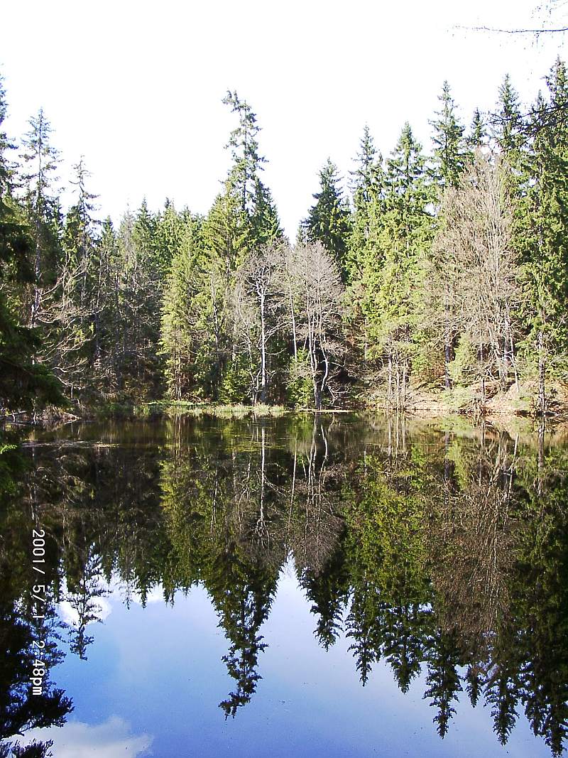 Fichtelgebirge : Zinnschützweiher