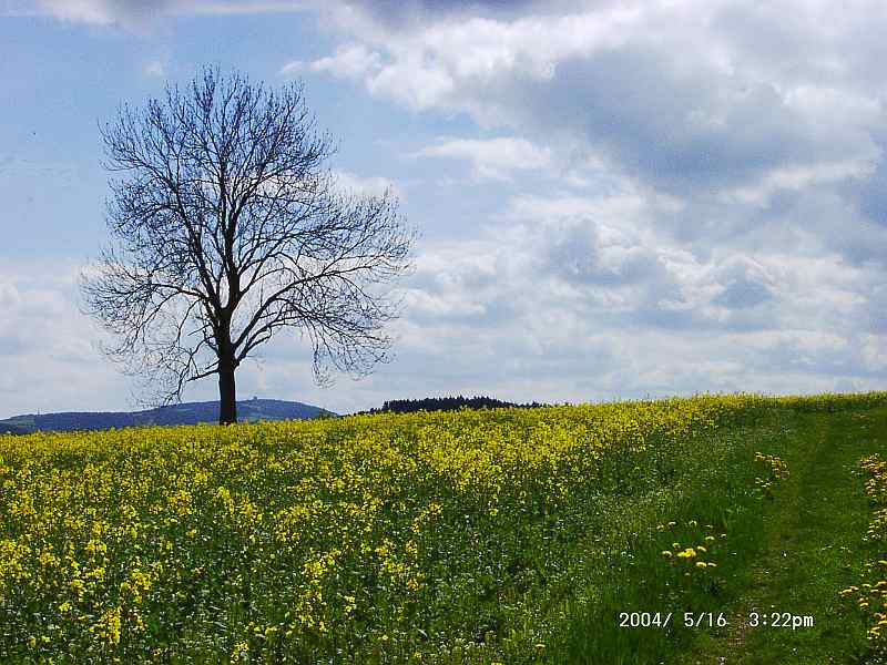 Frankenwald : Naila