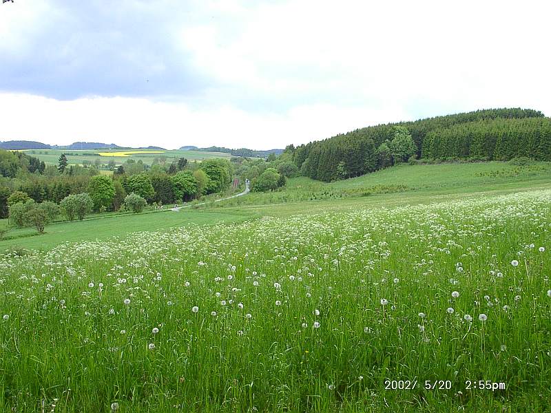 Frankenwald : Bad Steben