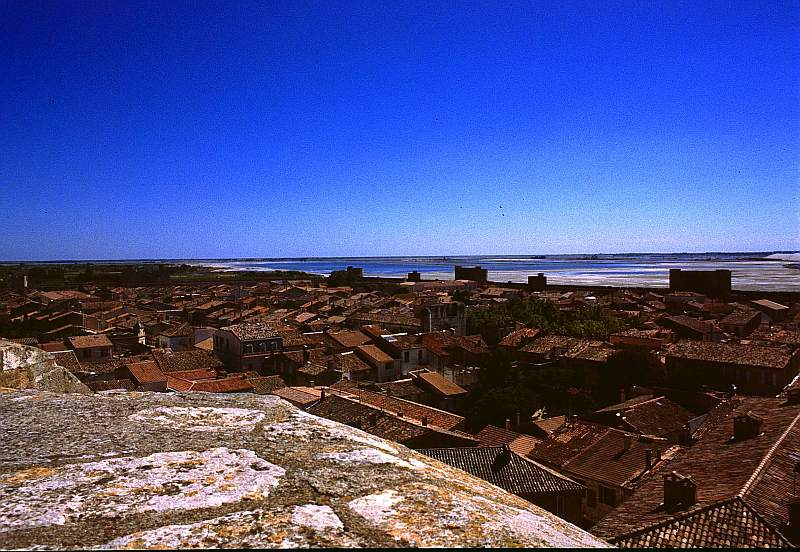 Camargue : Aigues Mortes