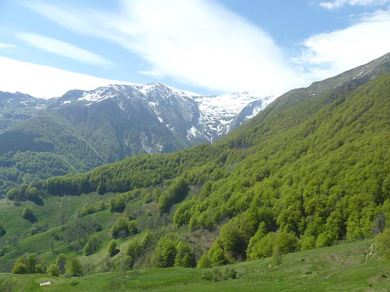 Pyrénées bei Couflent