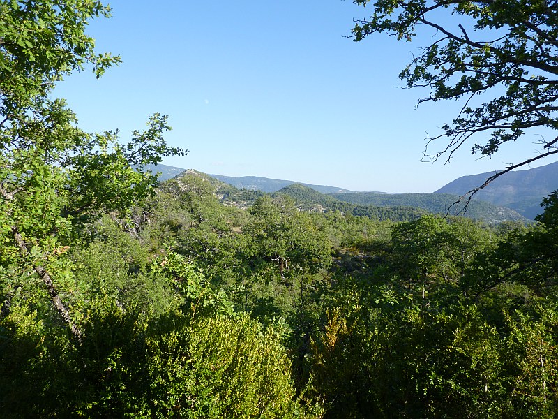 Provence : Ventoux
