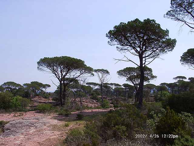 Côte d'Azur : Vidauban