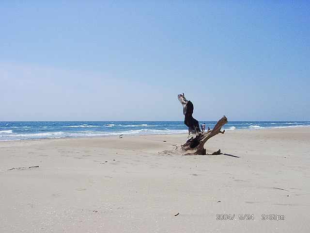 Camargue : Strand